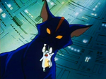 Coba, the blue cat, he is Haggar's eyes and ears.